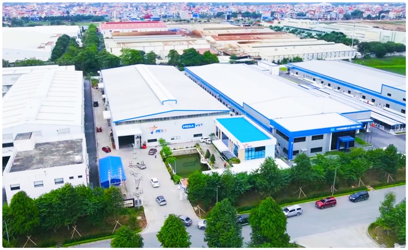 VIR 118 – Vắc xin sống đông khô Phòng bệnh viêm phế quản truyền nhiễm (IB) trên gà chủng IS/1494/06 Var II