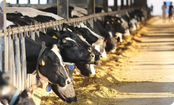 Thành lập trụ sở Miền bắc